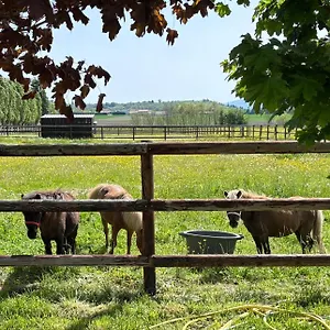 Le Petit Paddock Hébergement de vacances